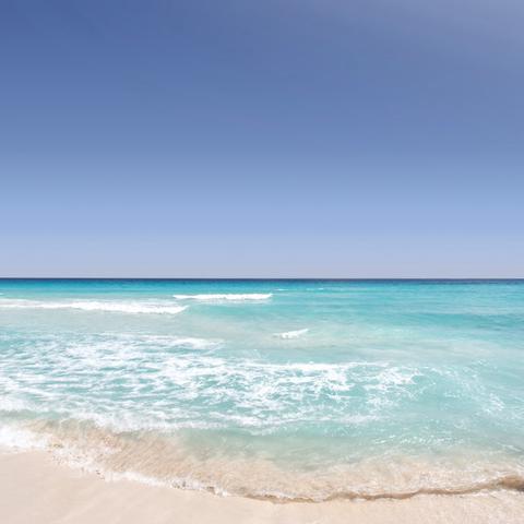 Waves & Whispers